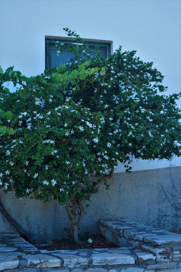 Holiday home Anevalousa House Moutsouna