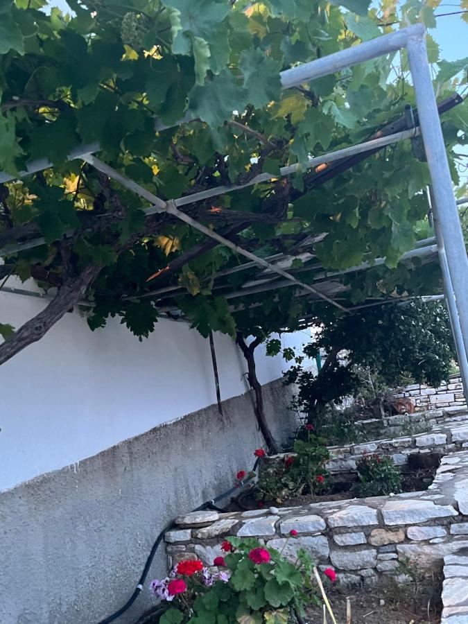 Anevalousa House * Moutsouna