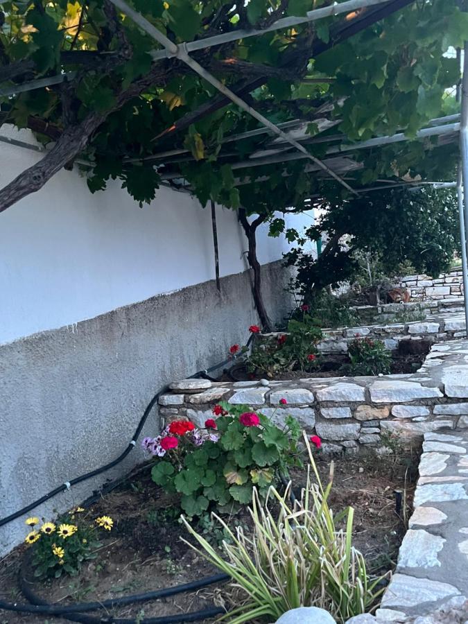 Anevalousa House Holiday home *