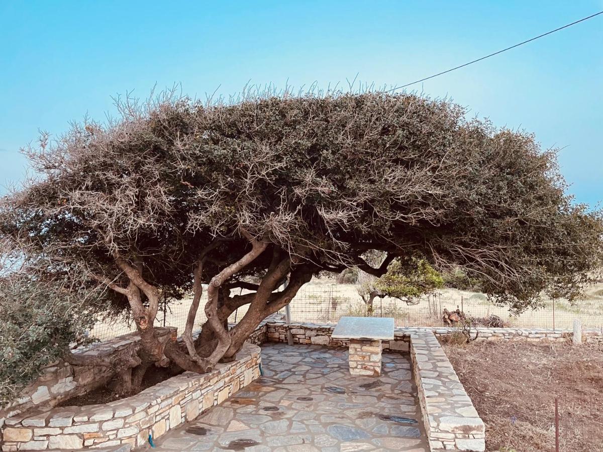Anevalousa House Moutsouna