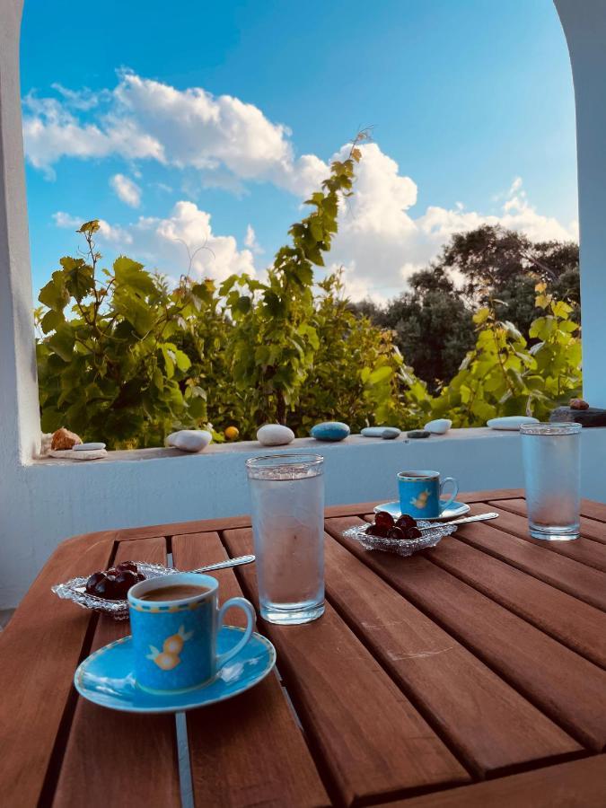 Anevalousa House Moutsouna