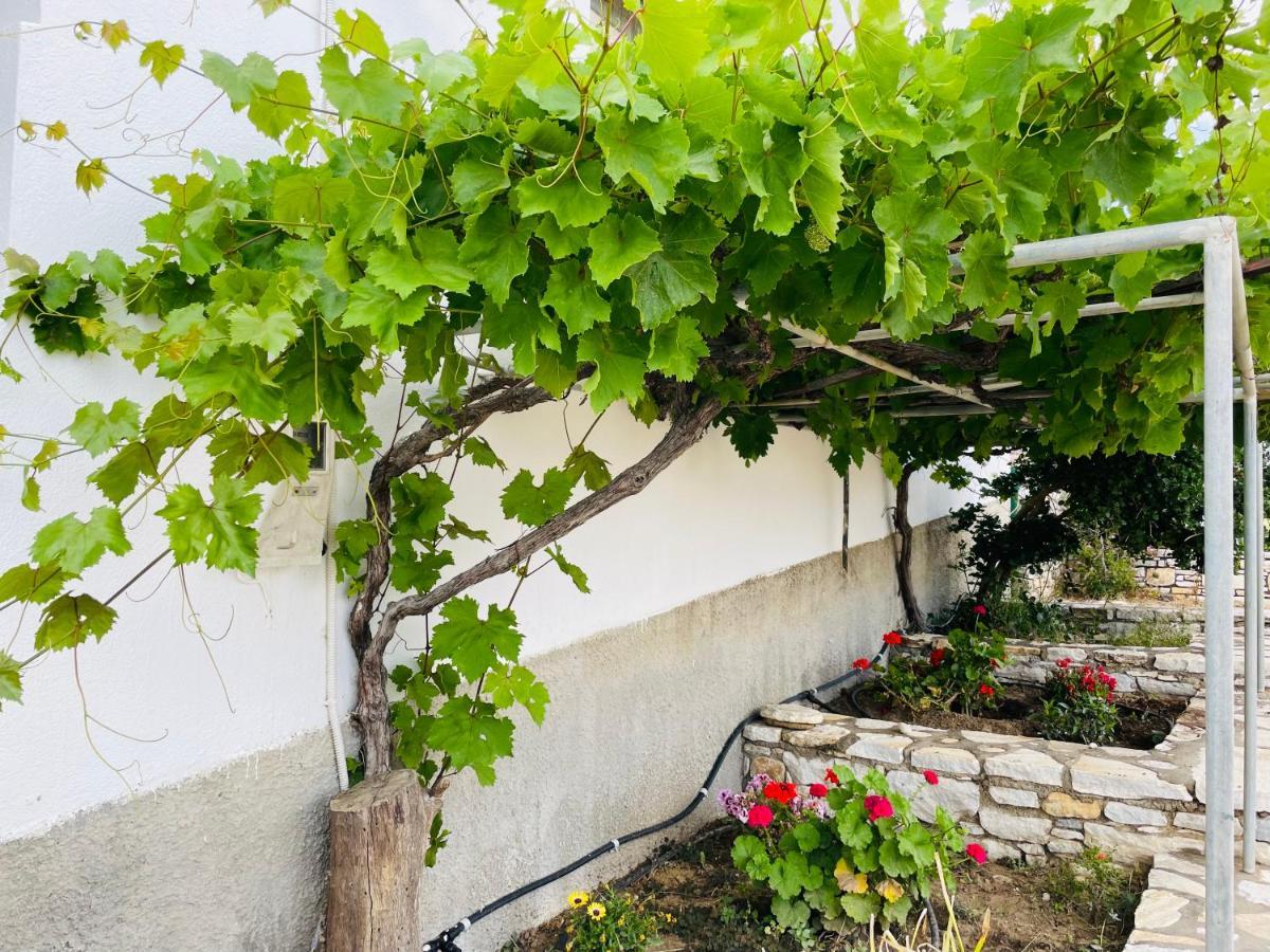 Anevalousa House * Moutsouna